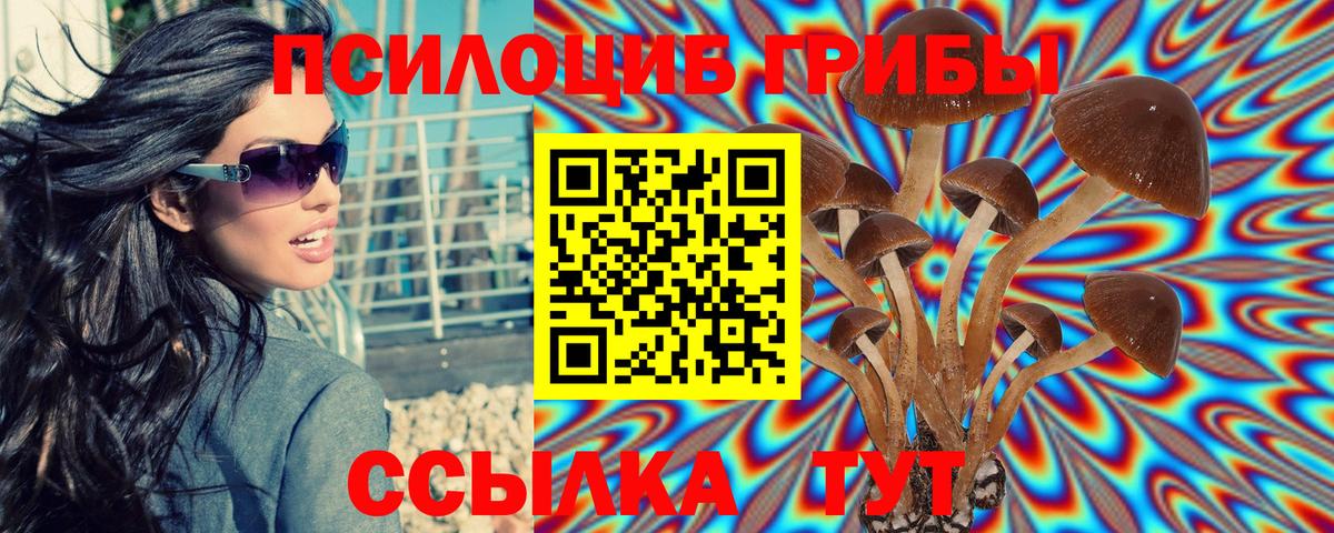 Галлюциногенные грибы Psilocybine cubensis  Вход с VPN  Елец 